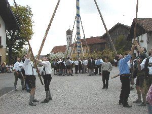Maibaum in Holzolling