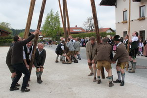 Maibaum in Holzolling - 2016